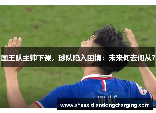 国王队主帅下课，球队陷入困境：未来何去何从？