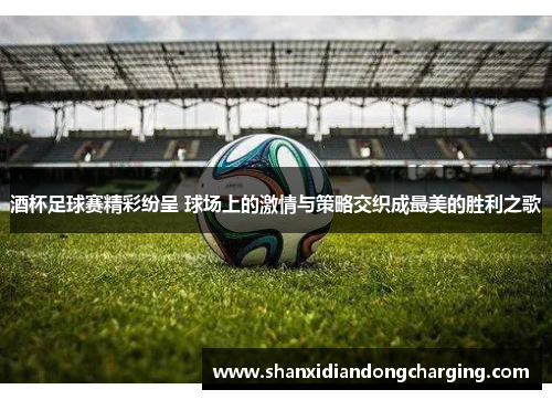 酒杯足球赛精彩纷呈 球场上的激情与策略交织成最美的胜利之歌