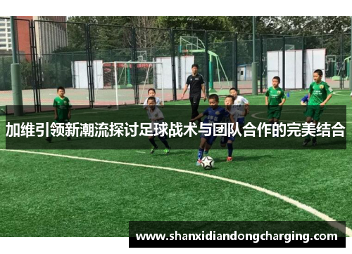 加维引领新潮流探讨足球战术与团队合作的完美结合